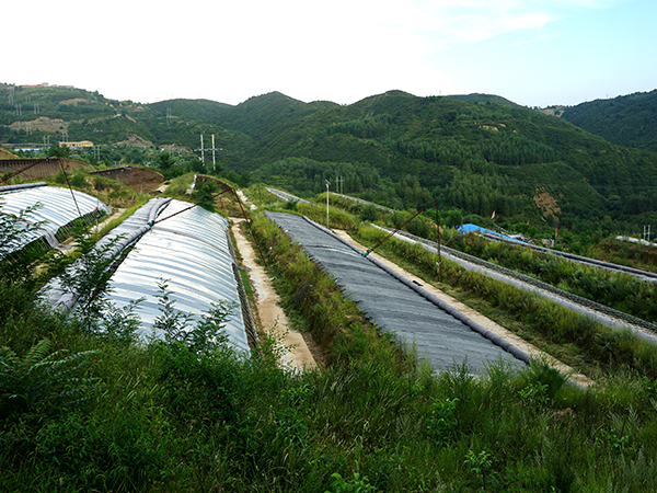 蘆薈基地